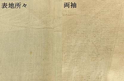 平和屋着物＊夏物 長襦袢 紗 草葉地紋 鳥の子色 麻 AABF5750fy