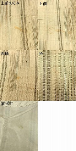 平和屋着物＊夏物 生紬 変わり縞 正絹 逸品 AABF5808fy