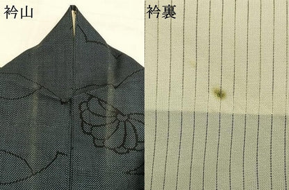 平和屋着物＊夏物 本場大島紬 夏大島 7マルキ 雲取り花文 正絹 逸品 AABF5816fy