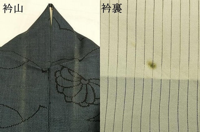 平和屋着物＊夏物 本場大島紬 夏大島 7マルキ 雲取り花文 正絹 逸品 AABF5816fy