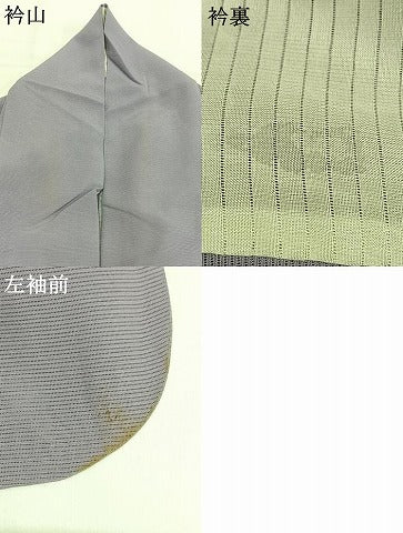 平和屋着物＊夏物 訪問着 絽 手描き 草花文 暈し染め 銀彩 洗える着物 AABF5828fy