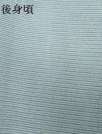 平和屋着物＊夏物 訪問着 絽 風景文 暈し染め 銀彩 正絹 逸品 AABF5849fy