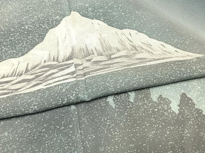 平和屋着物＊夏物 訪問着 絽 風景文 暈し染め 銀彩 正絹 逸品 AABF5849fy