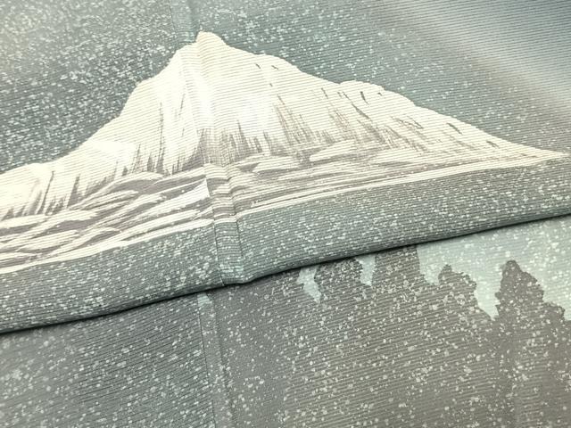 平和屋着物＊夏物 訪問着 絽 風景文 暈し染め 銀彩 正絹 逸品 AABF5849fy