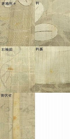 平和屋着物＊夏物 生紬 草花萩文 正絹 逸品 AABF5856fy