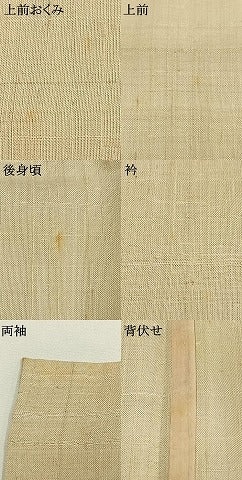 平和屋着物＊夏物　訪問着　生紬　手描き　草花文　正絹　逸品　AABF5868fy