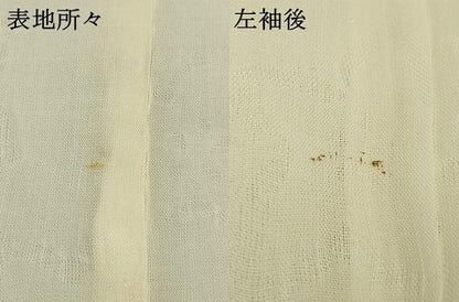 平和屋着物＊夏物 長襦袢 紗 舞花地紋 生成り色 麻 AABF5874fy
