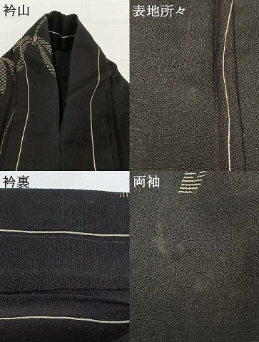 平和屋着物＊夏物　小紋　紗　勝虫　正絹　逸品　AABF5879fy