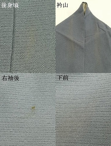 平和屋着物＊夏物 江戸小紋 絽 鮫小紋柄 正絹 逸品 AABF5886fy