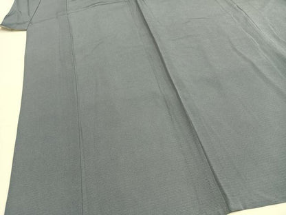 平和屋着物＊夏物 江戸小紋 絽 鮫小紋柄 正絹 逸品 AABF5886fy