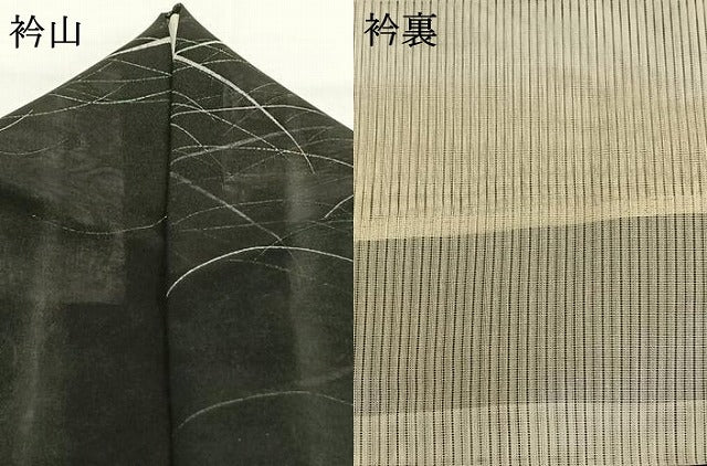 平和屋着物＊夏物 小紋 紗 露芝文 黒地 正絹 逸品 AABF5890fy
