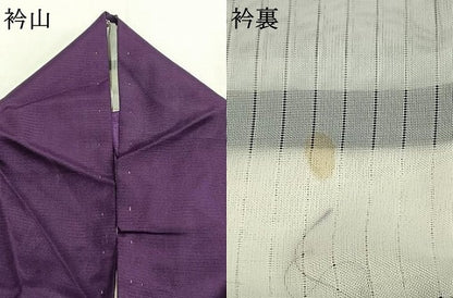 平和屋着物＊夏物 訪問着 絽 斜縞 正絹 逸品 AABF5908fy