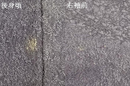 平和屋着物●訪問着 作家物 本苔染 冊子花蝶文 暈し染め 金彩 正絹 逸品 AABF5937fy