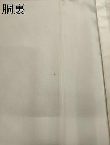 平和屋着物●江戸小紋 立涌文 正絹 逸品 AABF6122ck