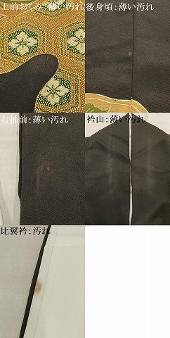 平和屋着物■豪華黒留袖　駒刺繍　花唐草文　金彩　正絹　逸品　AABF6206oa