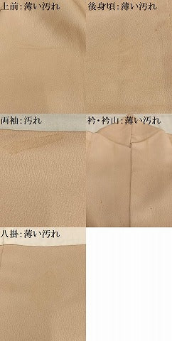 平和屋着物■豪華色留袖　駒刺繍　枝花文　暈し染め　金彩　正絹　逸品　AABF6284oa