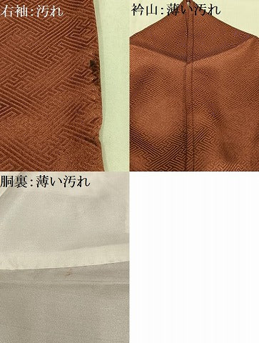 平和屋着物■訪問着 刺繍 雪輪草花文 暈し染め 金糸 金彩 正絹 逸品 AABF6386oa