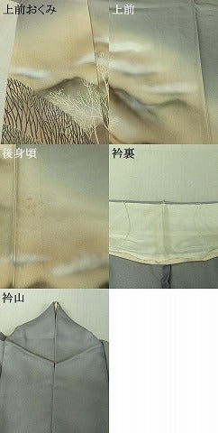 平和屋着物▽訪問着 単衣 風景文 暈し染め 正絹 逸品 AABF6412jh