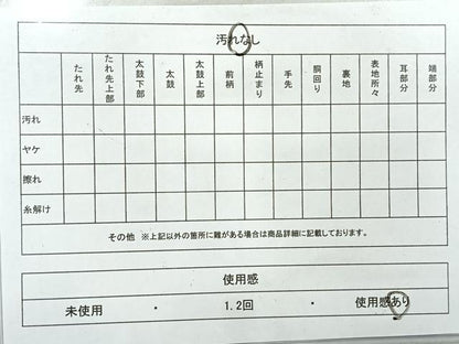 平和屋着物◎全通柄九寸名古屋帯　壁画文様　鬼しぼ縮緬　正絹　逸品　AABF6530uk