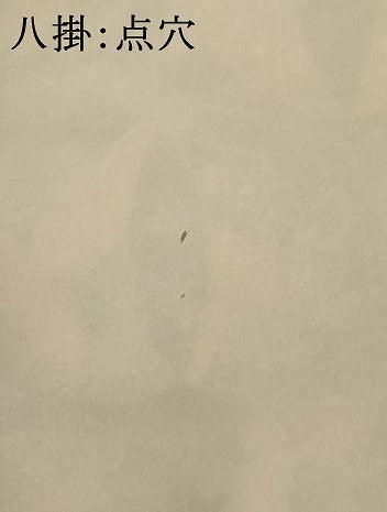 平和屋着物■上質な小紋 亀甲双蝶文 黒地 正絹 逸品 AABF6749br