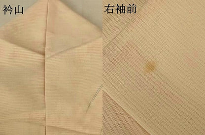平和屋着物＊夏物 訪問着 紗 芝花文 銀彩 正絹 逸品 AABF6809jd
