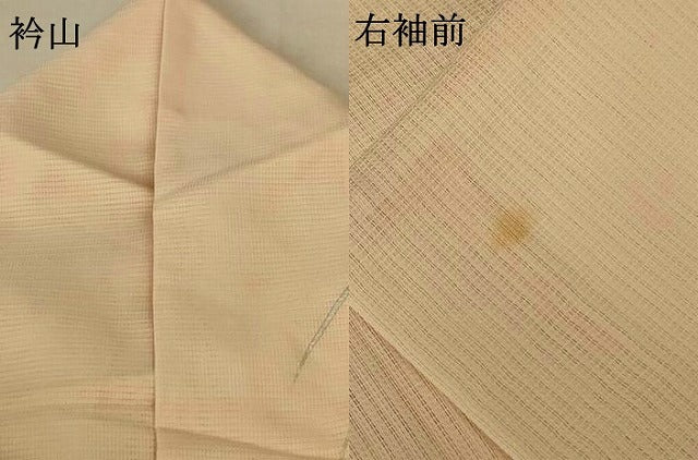 平和屋着物＊夏物 訪問着 紗 芝花文 銀彩 正絹 逸品 AABF6809jd