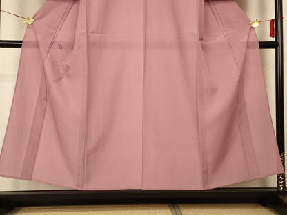平和屋着物＊夏物 訪問着 絽 夢 鴇浅葱色 正絹 逸品 未使用 AABF6843jd