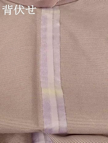 平和屋着物＊夏物 訪問着 絽 仕覆文 銀彩 洗える着物 AABF6847jd