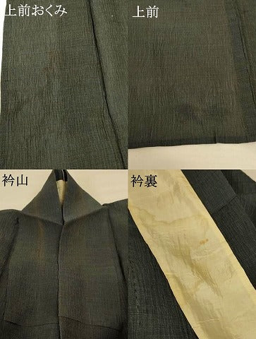 平和屋着物＊夏物 色無地 ちぢみ織 羊羹色 正絹 逸品 AABF6882jd