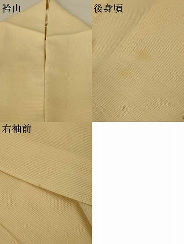 平和屋着物＊夏物　訪問着　絽　丸文　銀彩　正絹　逸品　AABF6895jd