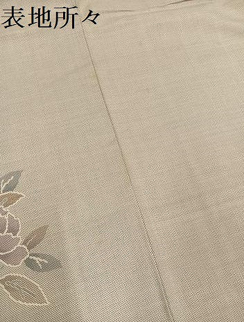 平和屋着物●本場大島紬 訪問着 白大島 カタス9マルキ 草花文 正絹 逸品 AABF6939ph