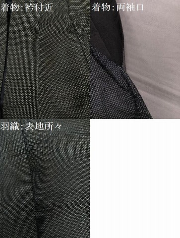 平和屋着物●男性 本場大島紬 アンサンブル 100亀甲 総詰め 正絹 逸品 AABF6952ph
