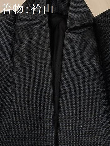 平和屋着物●男性 本場大島紬 アンサンブル 100亀甲 総詰め 正絹 逸品 AABF6958ph