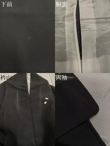 平和屋着物●訪問着 月兎 金銀彩 正絹 逸品 AABF8092ph