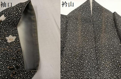 平和屋着物●訪問着 草花文 黒地 金彩 伊勢丹扱い 正絹 逸品 AABF8147ph