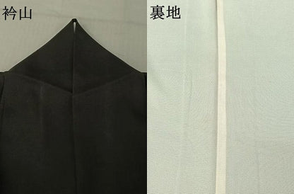 平和屋着物▽訪問着 無双 絽袷 絽×絽 刺繍 蛍 黒地 金糸 金彩 正絹 逸品 AABF8308jh