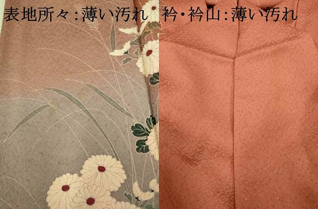 平和屋着物■訪問着 花鳥籬文 暈し染め 金彩 正絹 逸品 AABF8386fw