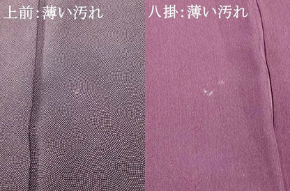 平和屋着物■江戸小紋 鮫小紋柄 正絹 逸品 AABF8413fw