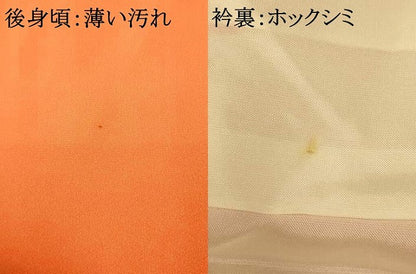 平和屋着物■訪問着　吉祥草花文　金彩　正絹　逸品　AABF8449fw