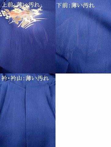 平和屋着物■訪問着 花鳥熨斗文 暈し染め 金彩 正絹 逸品 AABF8515fw