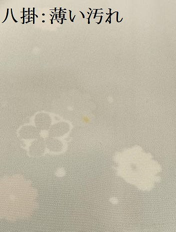 平和屋着物■訪問着 枝花文 暈し染め 金彩 正絹 逸品 AABF8529oa
