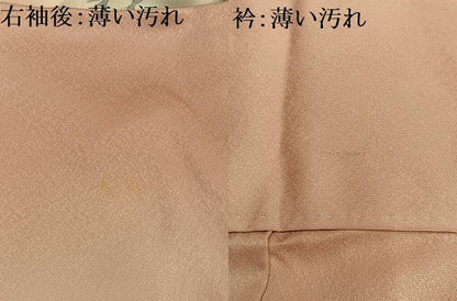平和屋着物■訪問着 枝葉シルエット 暈し染め 正絹 逸品 AABF8551oa