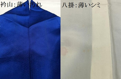 平和屋着物■訪問着 花鳥文 正絹 逸品 AABF8615oa