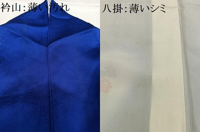 平和屋着物■訪問着 花鳥文 正絹 逸品 AABF8615oa