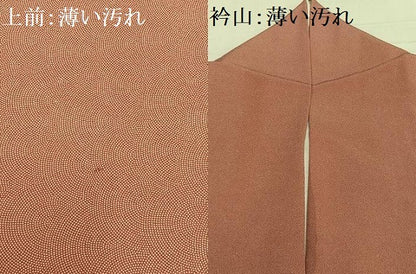 平和屋着物■江戸小紋　鮫小紋柄　正絹　逸品　AABF8687oa