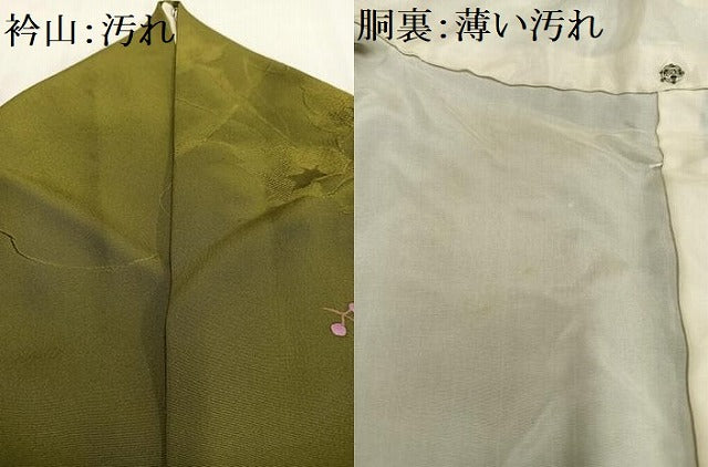 平和屋着物■訪問着 南天丸文 暈し染め 正絹 逸品 AABF8702oa