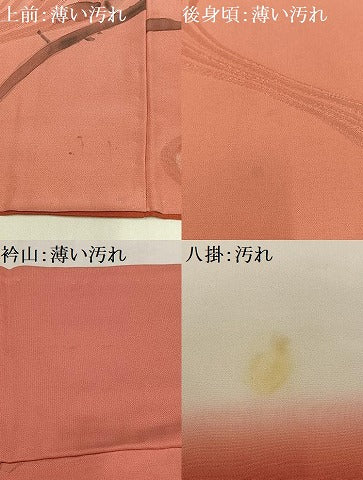 平和屋着物■訪問着　手描き　枝花文　暈し染め　金彩　正絹　逸品　AABF8706oa