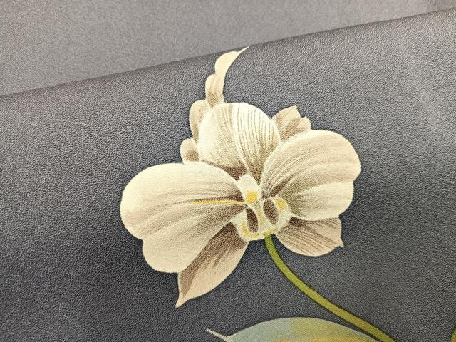 平和屋着物●訪問着　胡蝶蘭　暈し染め　正絹　逸品　AABF8757ph