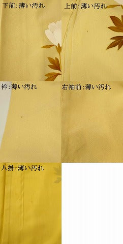 平和屋着物■訪問着　草花文　金彩　正絹　逸品　AABF8816st