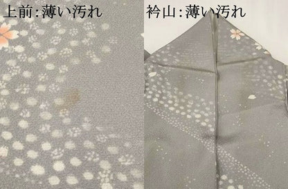 平和屋着物■上質な小紋　舞花文　正絹　逸品　AABF8867st